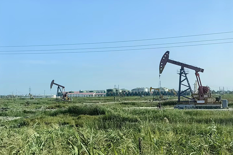 石油化工領域系統(tǒng)解決方案