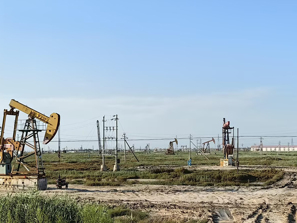 生物發(fā)酵領域系統(tǒng)解決方案